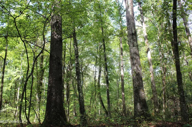 $1,520,000 | 0 Mt Gilead Road, Holly Springs, MS 38635