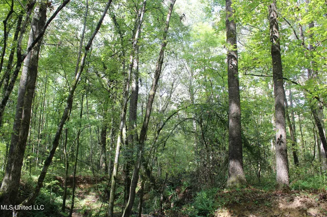 $1,520,000 | 0 Mt Gilead Road, Holly Springs, MS 38635