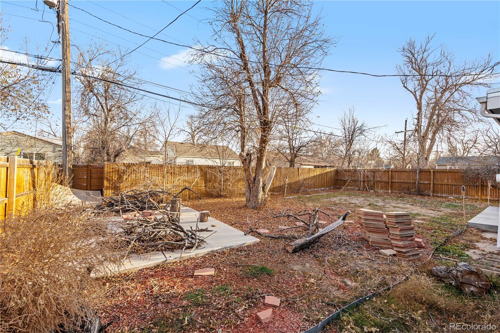 860 Lansing Street Aurora, CO 80010 - Photo 28 of 31 a view of a yard with a large tree