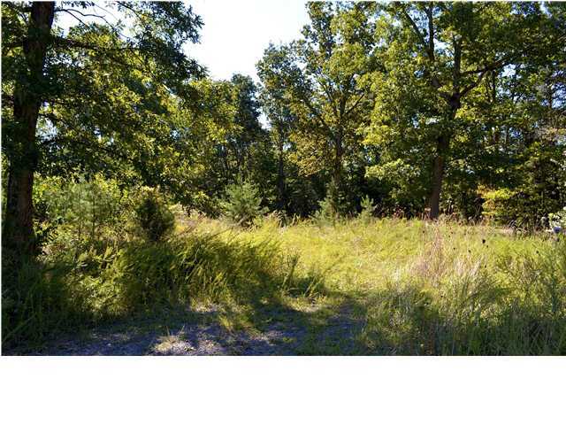 1 Douglas Road Dunlap, TN 37327 - Photo 4 of 10 Additional Photo
