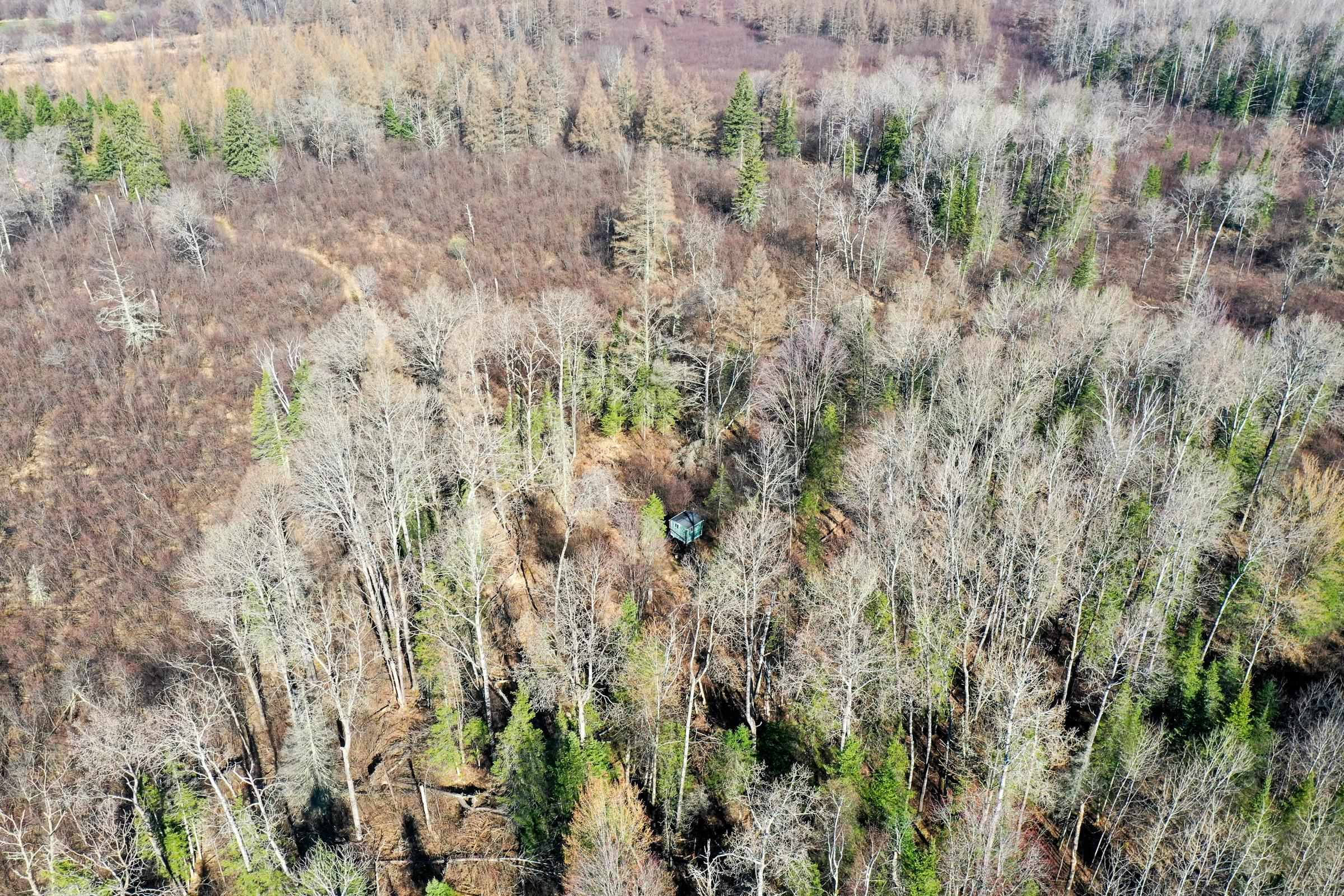 41.85-acres County Rd M Rib Lake, WI 54470 - Photo 10 of 12