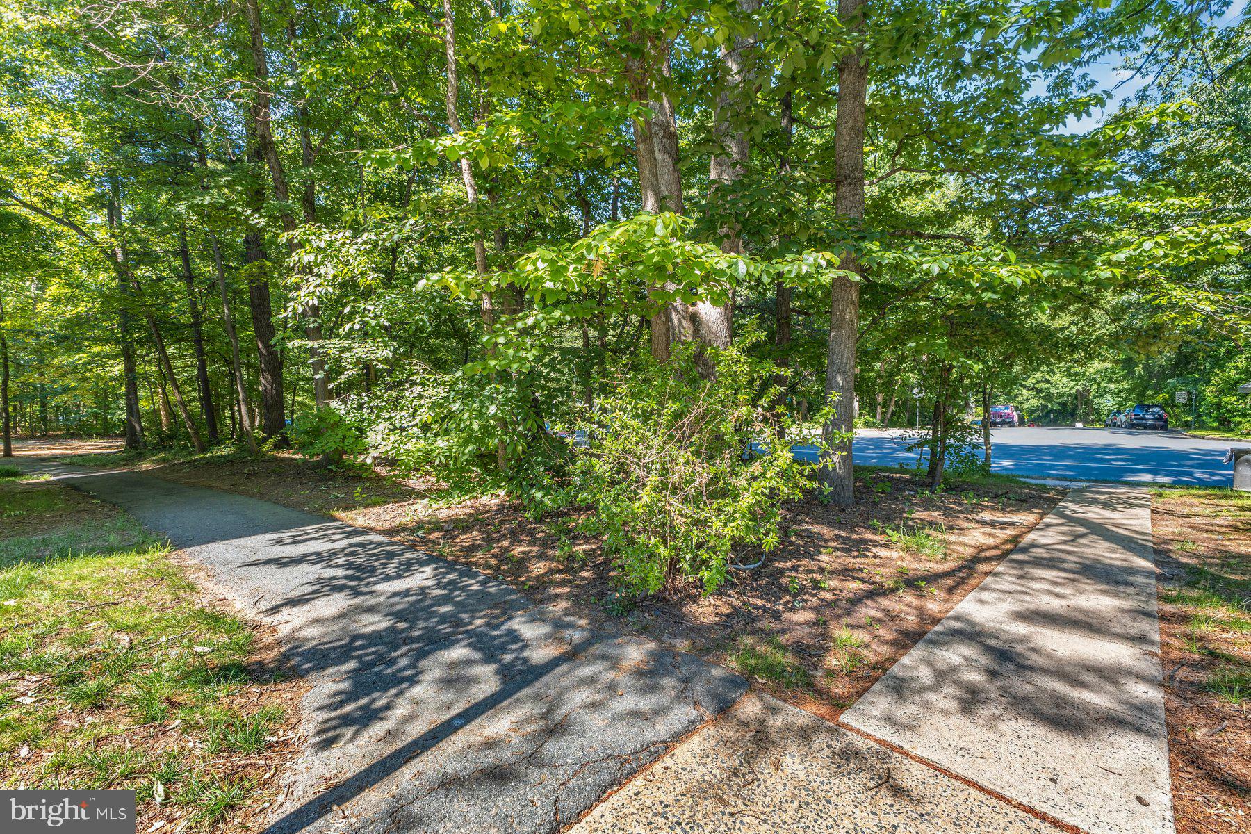 2330 Freetown Court, Unit 4/1B Reston, VA 20191 - Photo 21 of 26 Side walking trail to the community open space