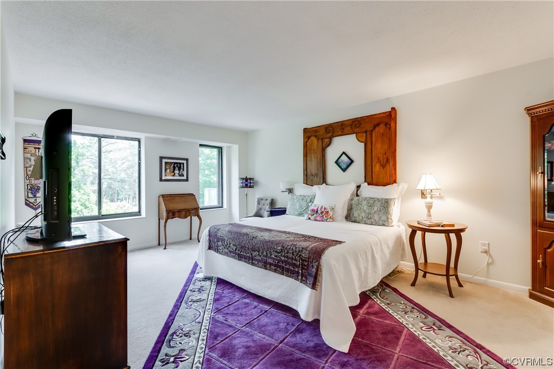 2956 Hathaway Road, Unit U306 Richmond, VA 23225 - Photo 23 of 36 a bedroom with a bed and a couch