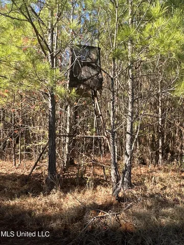 $197,500 | Hickory Fellowship Road, Hickory, MS 39332