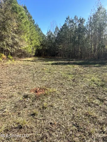 $197,500 | Hickory Fellowship Road, Hickory, MS 39332