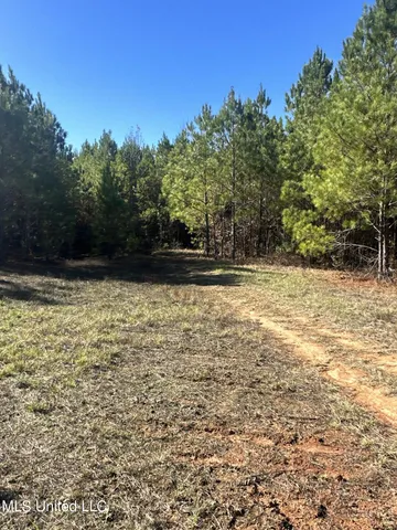 $197,500 | Hickory Fellowship Road, Hickory, MS 39332