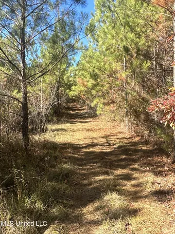 $197,500 | Hickory Fellowship Road, Hickory, MS 39332