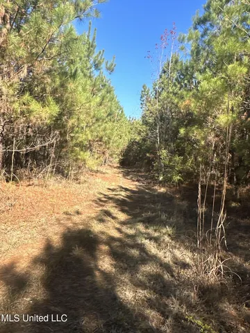 $197,500 | Hickory Fellowship Road, Hickory, MS 39332