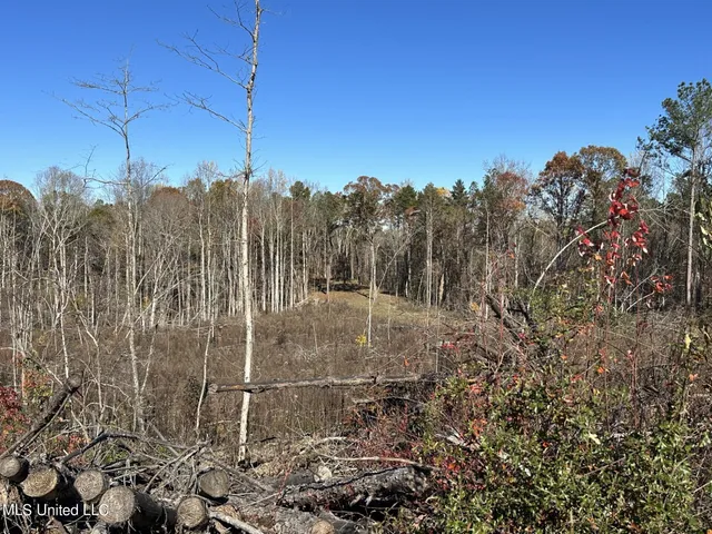 $197,500 | Hickory Fellowship Road, Hickory, MS 39332