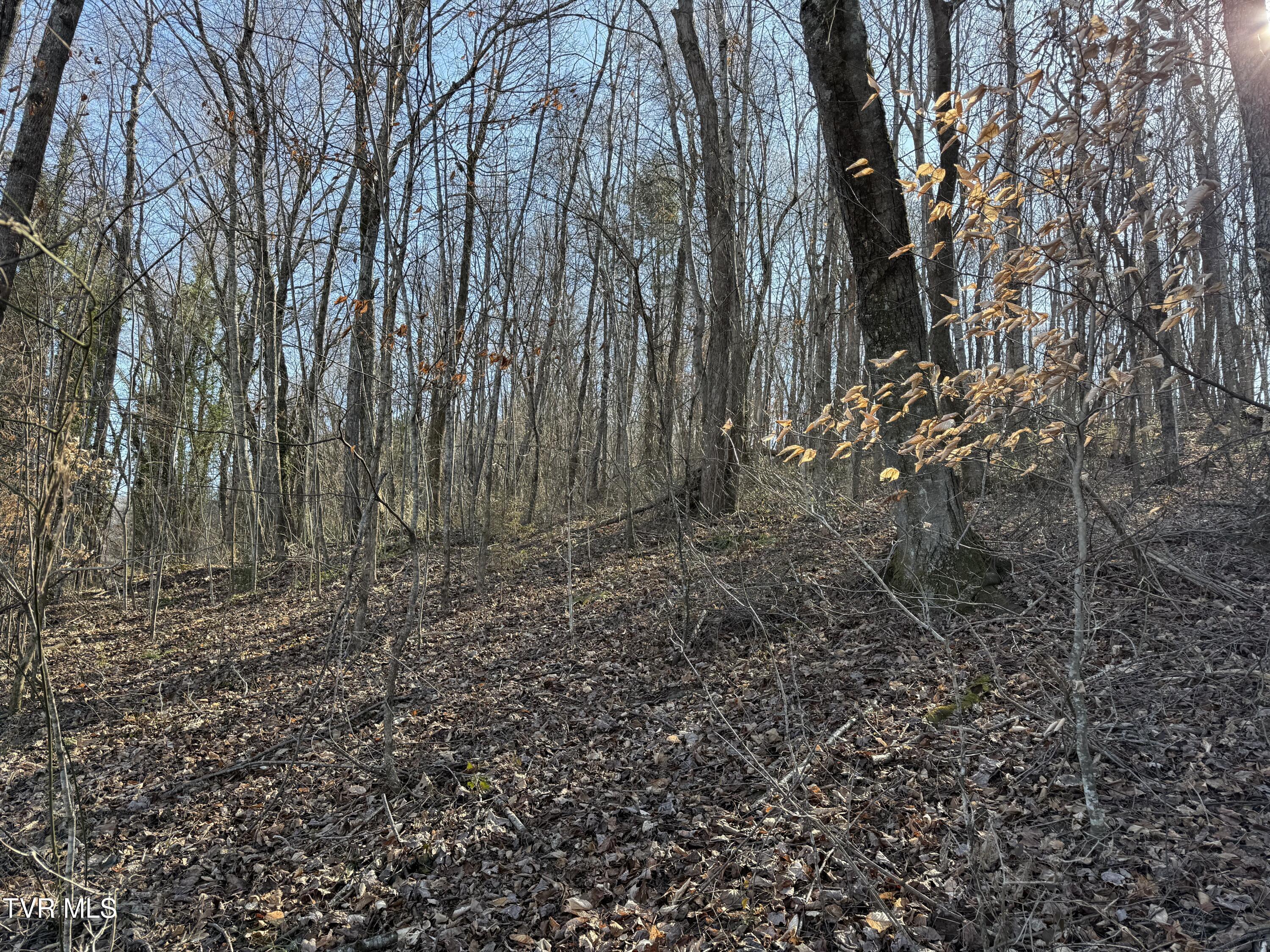 1-4 Bishop Hollow Road, Unit 14 Elizabethton, TN 37643 - Photo 2 of 13 IMG_1675