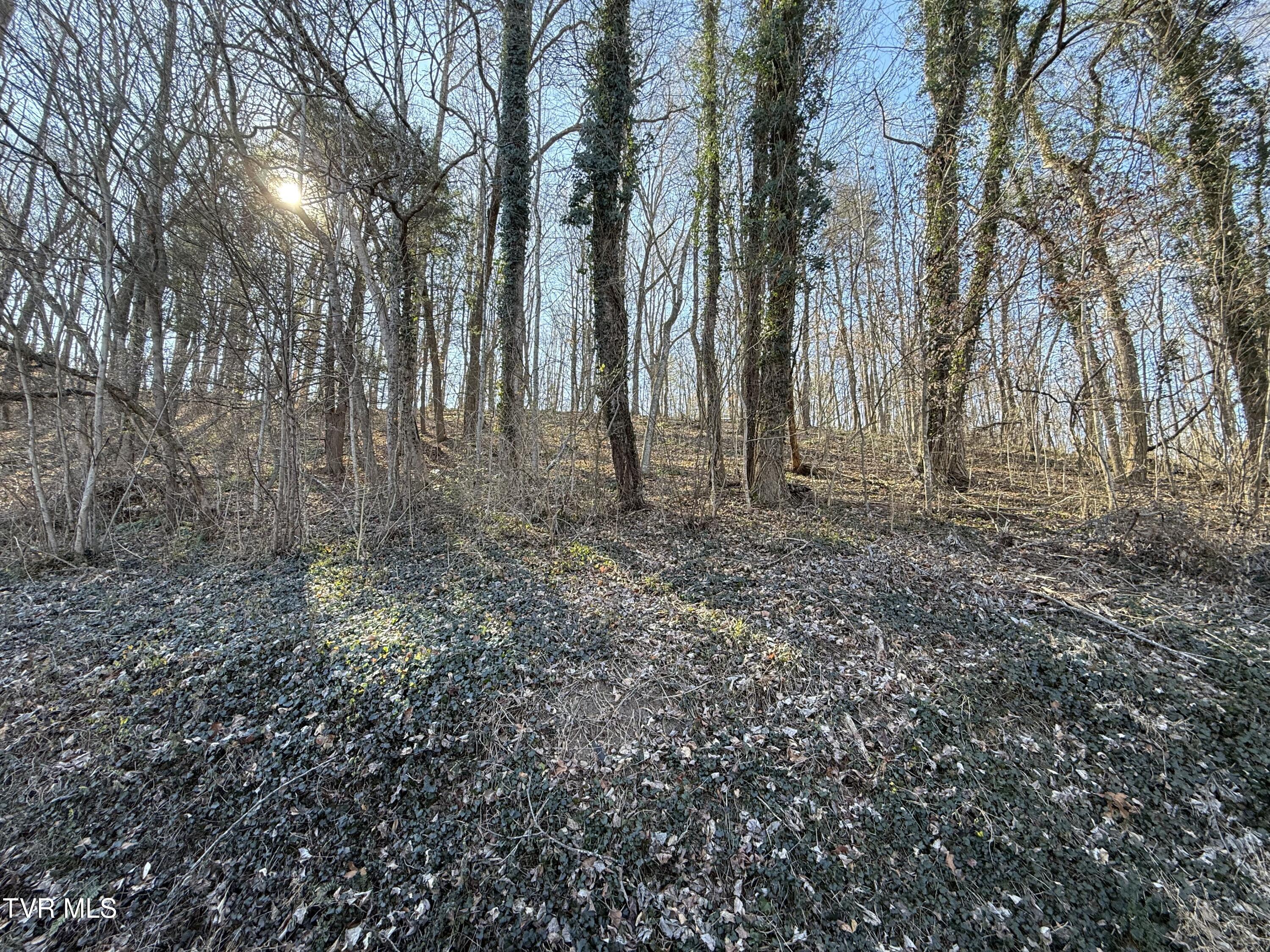 1-4 Bishop Hollow Road, Unit 14 Elizabethton, TN 37643 - Photo 3 of 13 IMG_1682