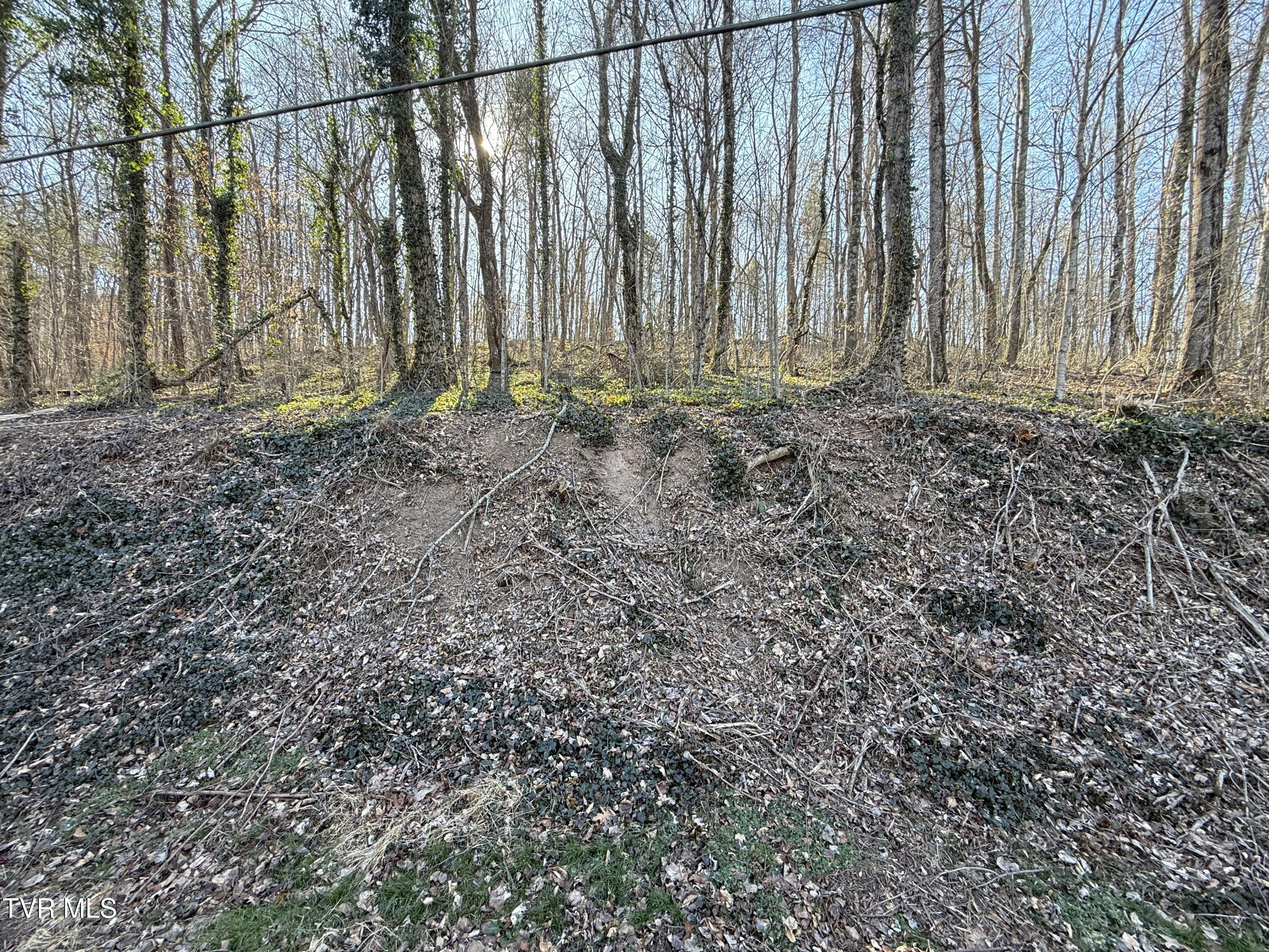 1-4 Bishop Hollow Road, Unit 14 Elizabethton, TN 37643 - Photo 4 of 13 IMG_1680