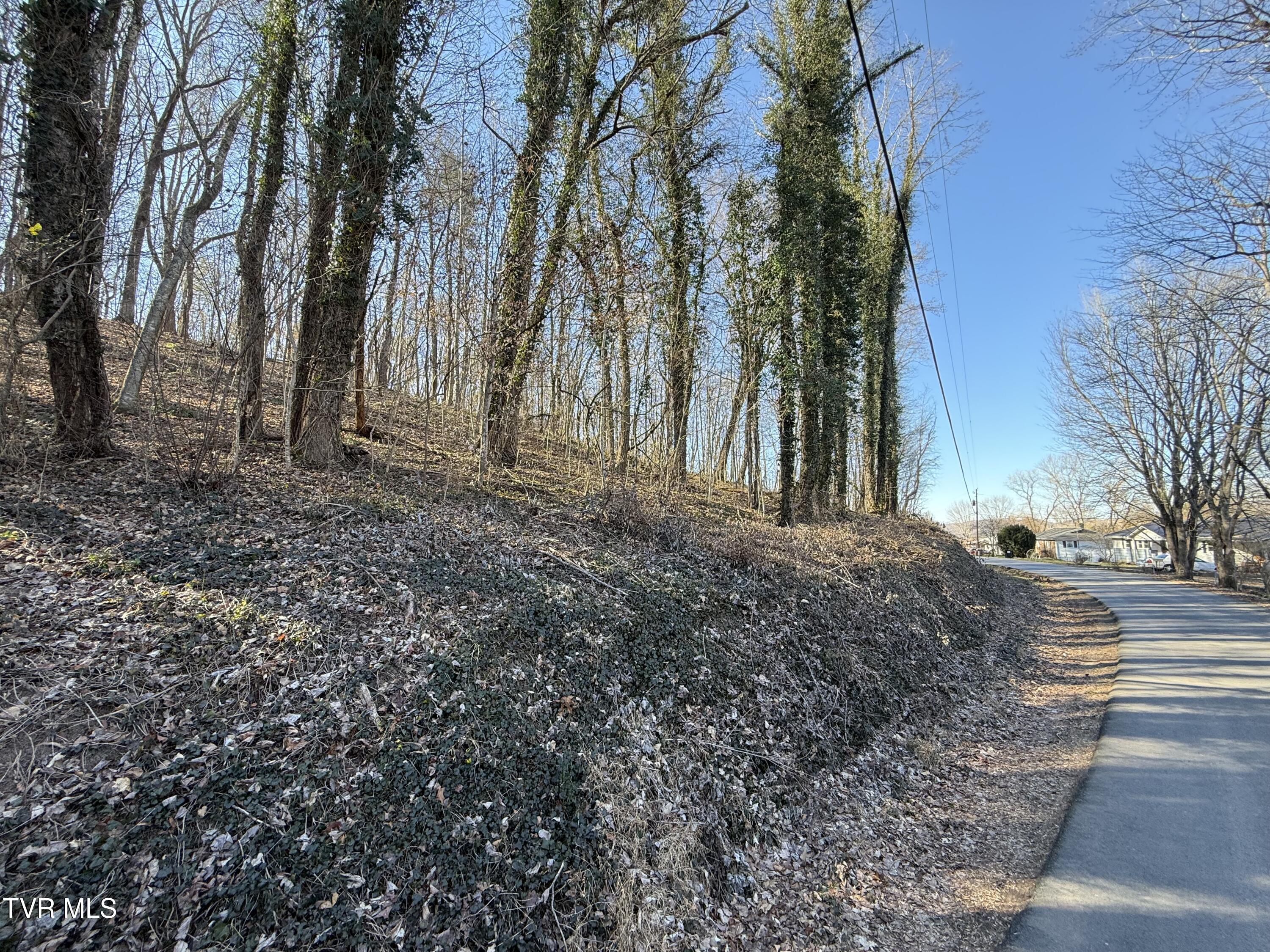 1-4 Bishop Hollow Road, Unit 14 Elizabethton, TN 37643 - Photo 6 of 13 IMG_1683