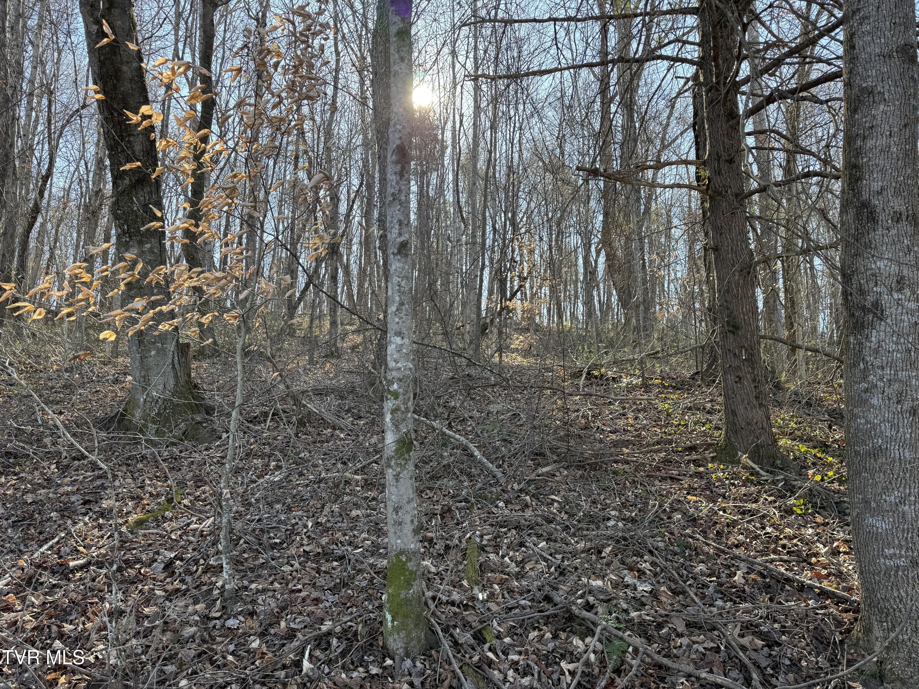 1-4 Bishop Hollow Road, Unit 14 Elizabethton, TN 37643 - Photo 7 of 13 IMG_1674