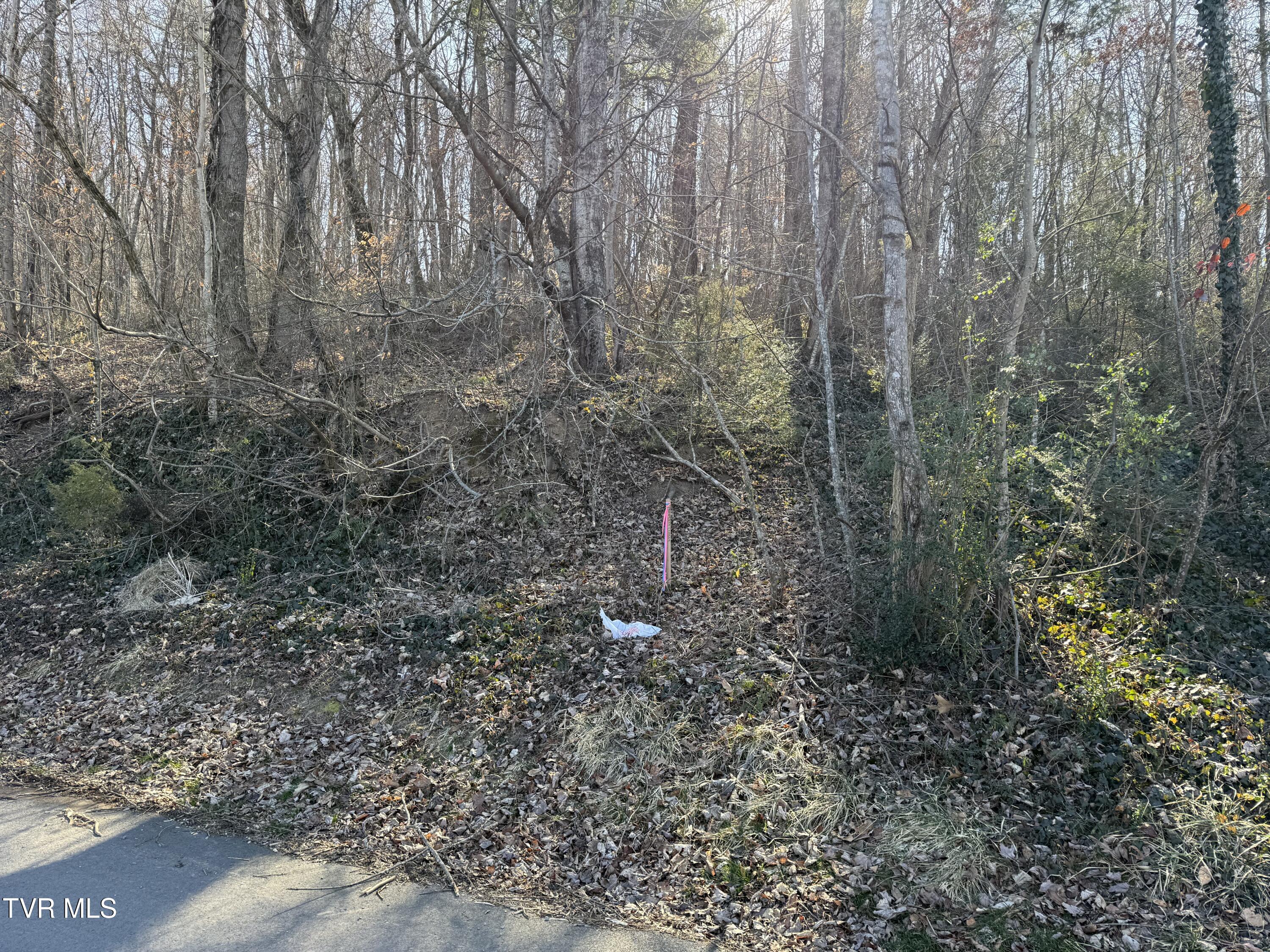 1-4 Bishop Hollow Road, Unit 14 Elizabethton, TN 37643 - Photo 8 of 13 IMG_1676