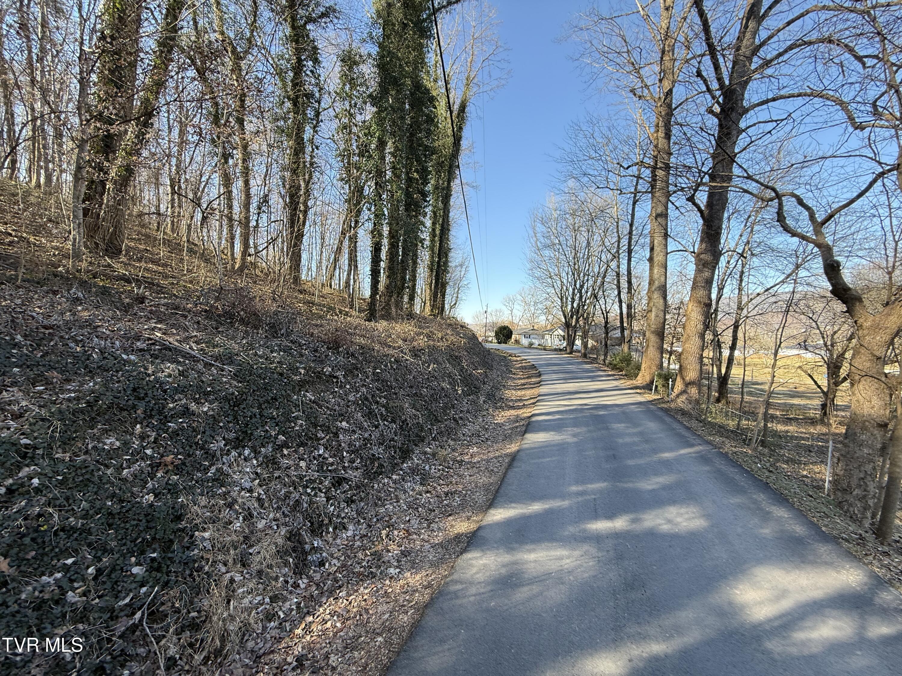 1-4 Bishop Hollow Road, Unit 14 Elizabethton, TN 37643 - Photo 9 of 13 IMG_1684