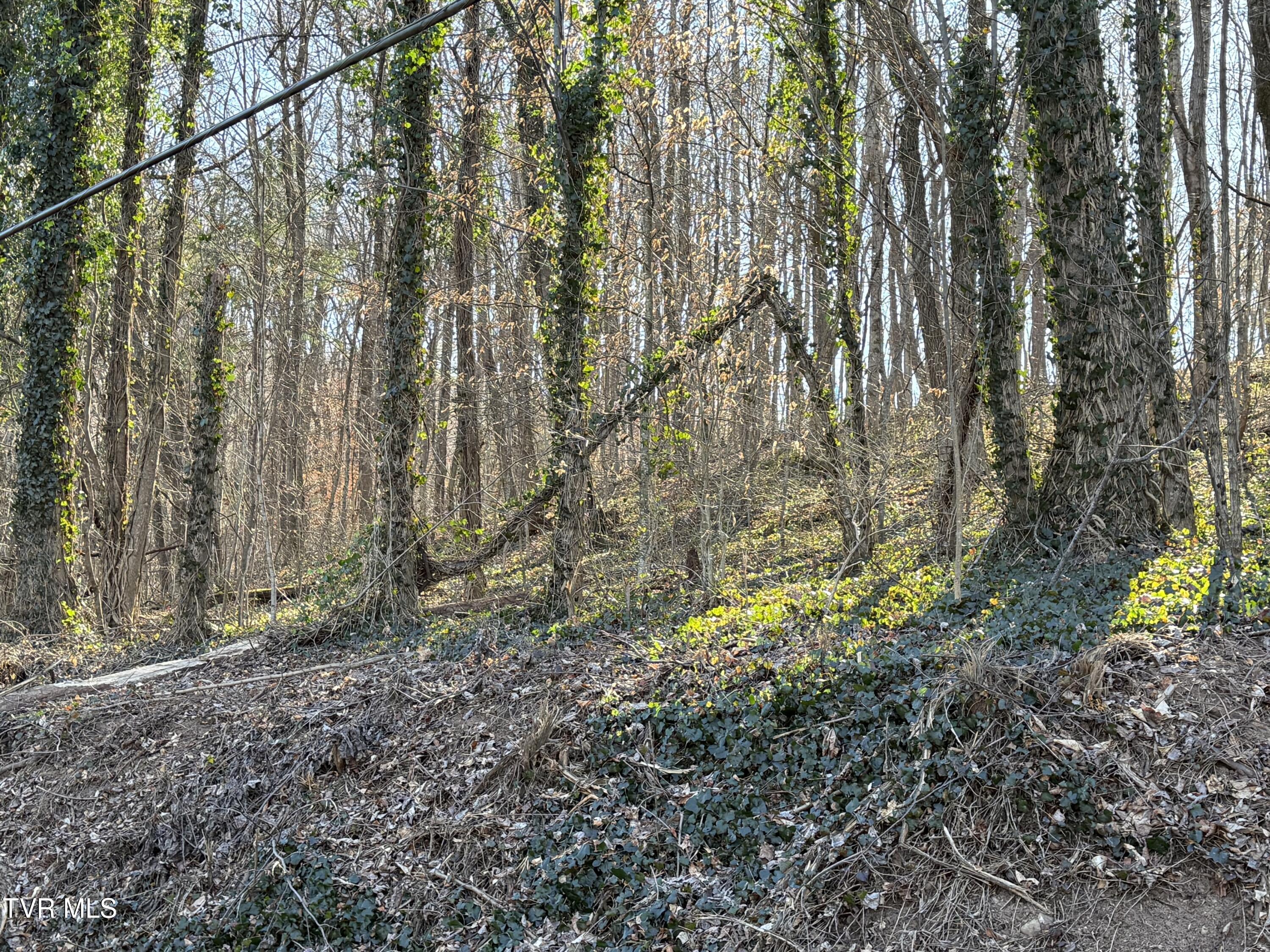 1-4 Bishop Hollow Road, Unit 14 Elizabethton, TN 37643 - Photo 10 of 13 IMG_1678