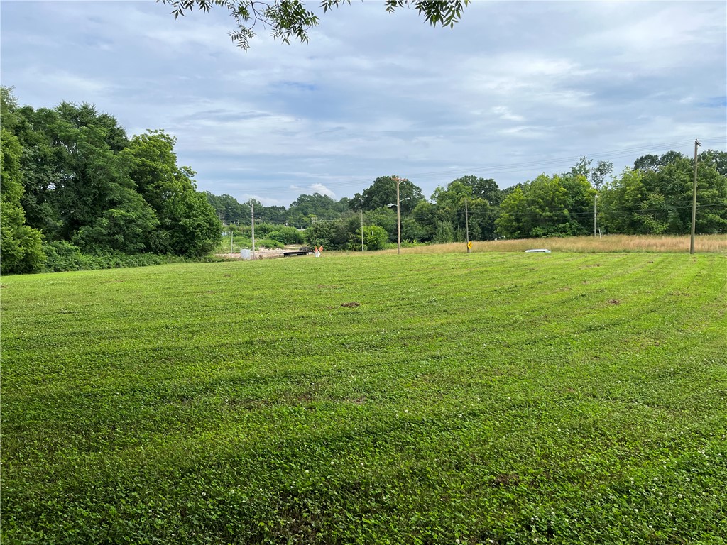 237 East Main Street Pendleton, SC 29670 - Photo 1 of 16 A verdant, open lot offers a serene setting amidst mature trees and clear skies.