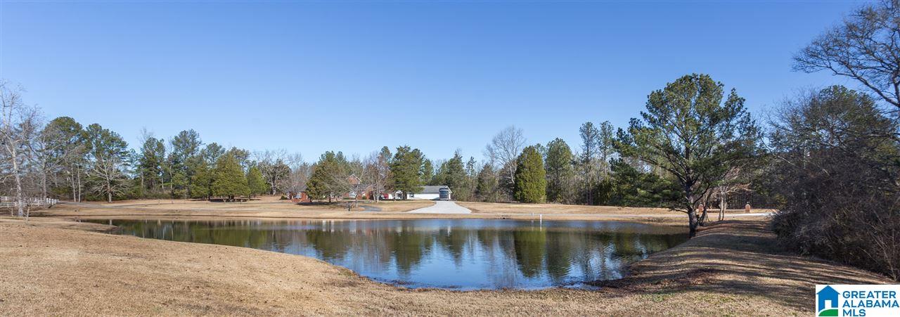 281 Hidden Hills Road Jacksonville, AL 36265 - Photo 45 of 50