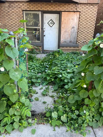 a backyard of a building