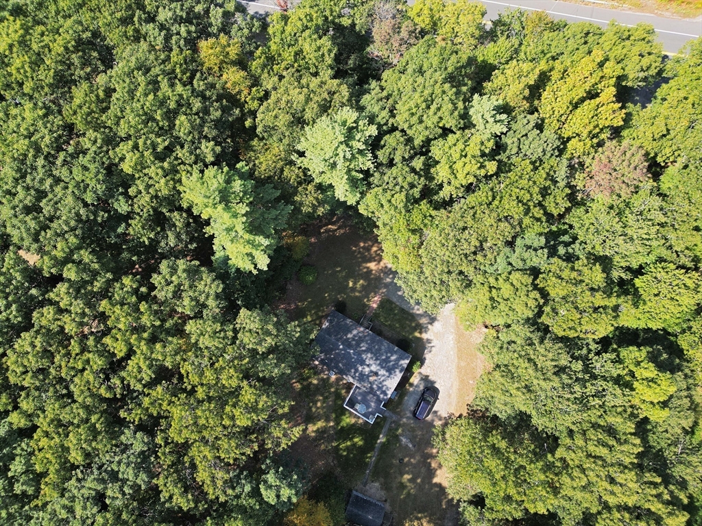 157 Scotland Road Newbury, MA 01951 - Photo 32 of 34 a view of a tree
