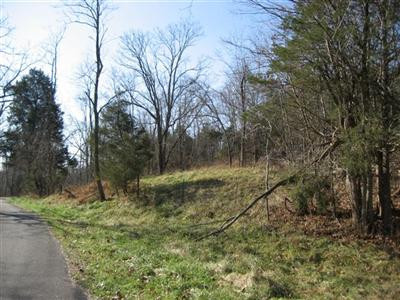 5 Timber Creek Road Lawrenceburg, KY 40342 - Photo 7 of 22 Photo 7