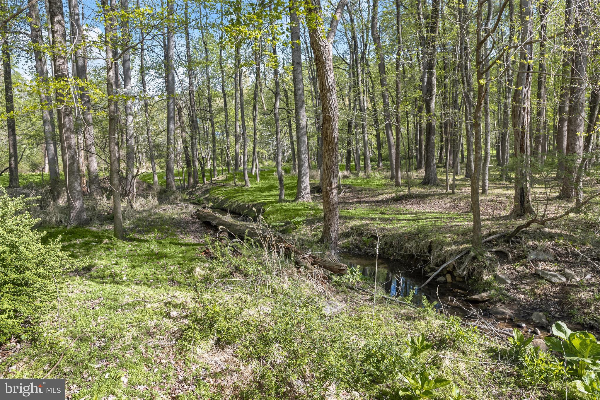 2204 Harmony Woods Road Owings Mills, MD 21117 - Photo 11 of 35 Grounds