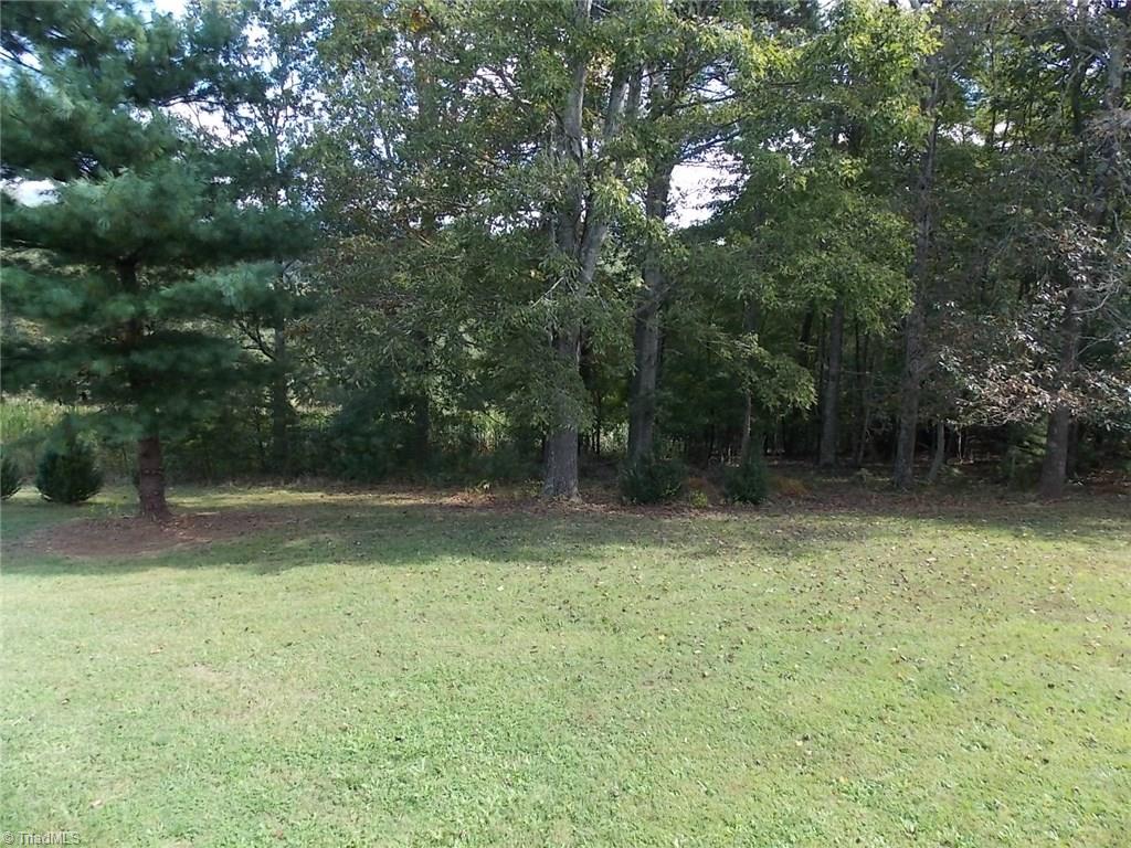 387 Carson Creek Road Lowgap, NC 27024 - Photo 5 of 18