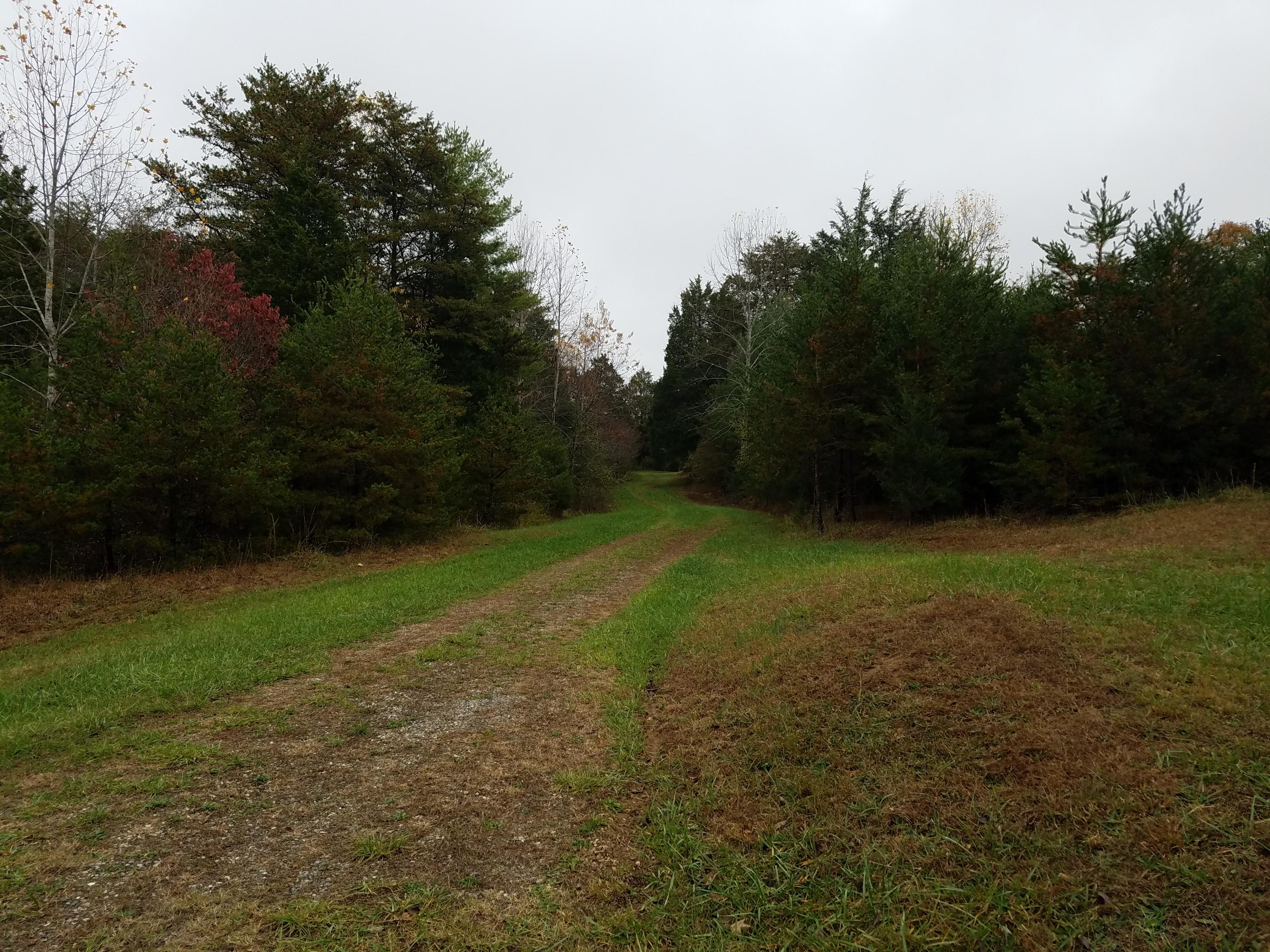 7225 Edwardsville Road Hardy, VA 24101 - Photo 7 of 7 Land
