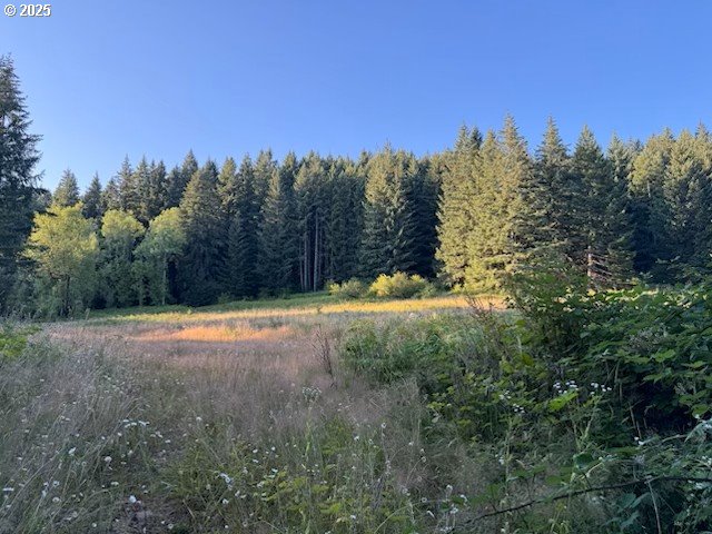 19331 Southeast Heuke Road Damascus, OR 97089 - Photo 2 of 3 a view of a yard with trees in the background