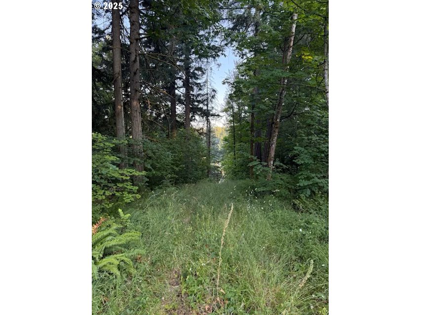 19331 Southeast Heuke Road Damascus, OR 97089 - Photo 3 of 3 a view of a yard with plants and a tree