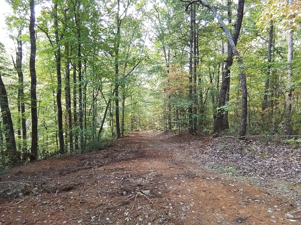 End Of Tanglewood Ridge Murphy, NC 28906 - Photo 17 of 38
