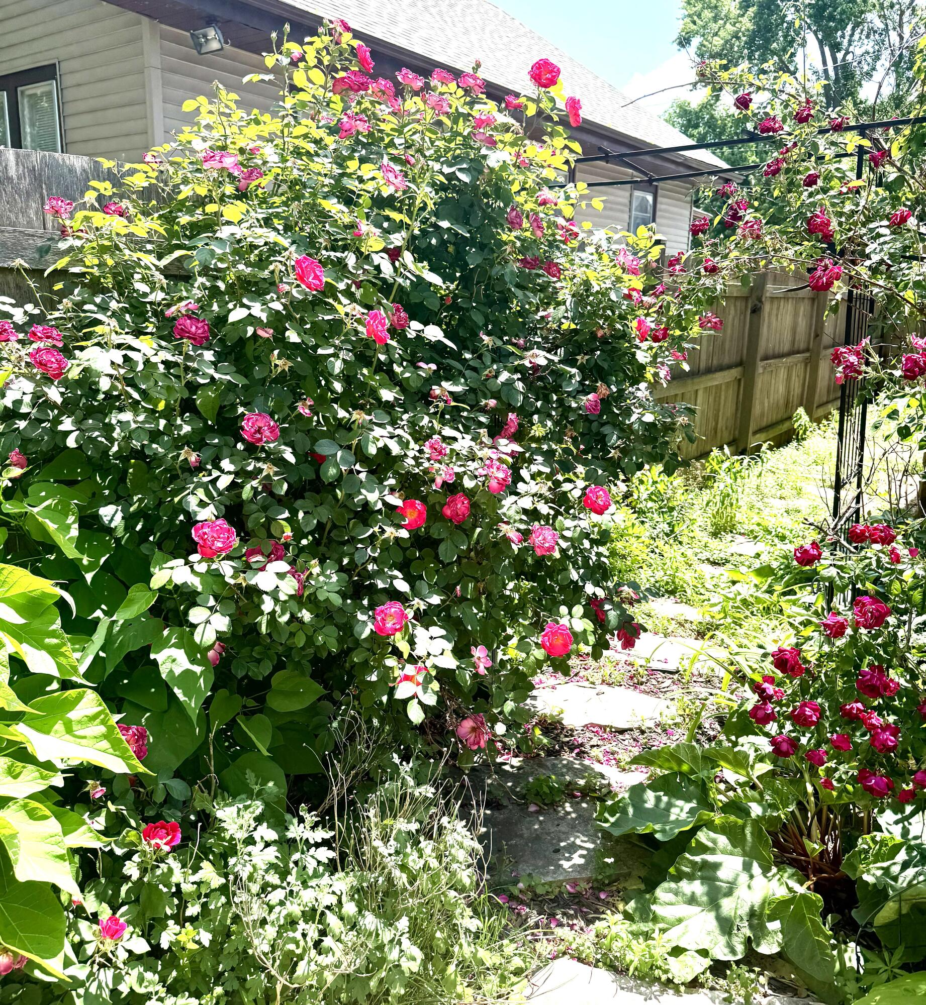 1008 71st Street Kenosha, WI 53143 - Photo 22 of 24 Backyard