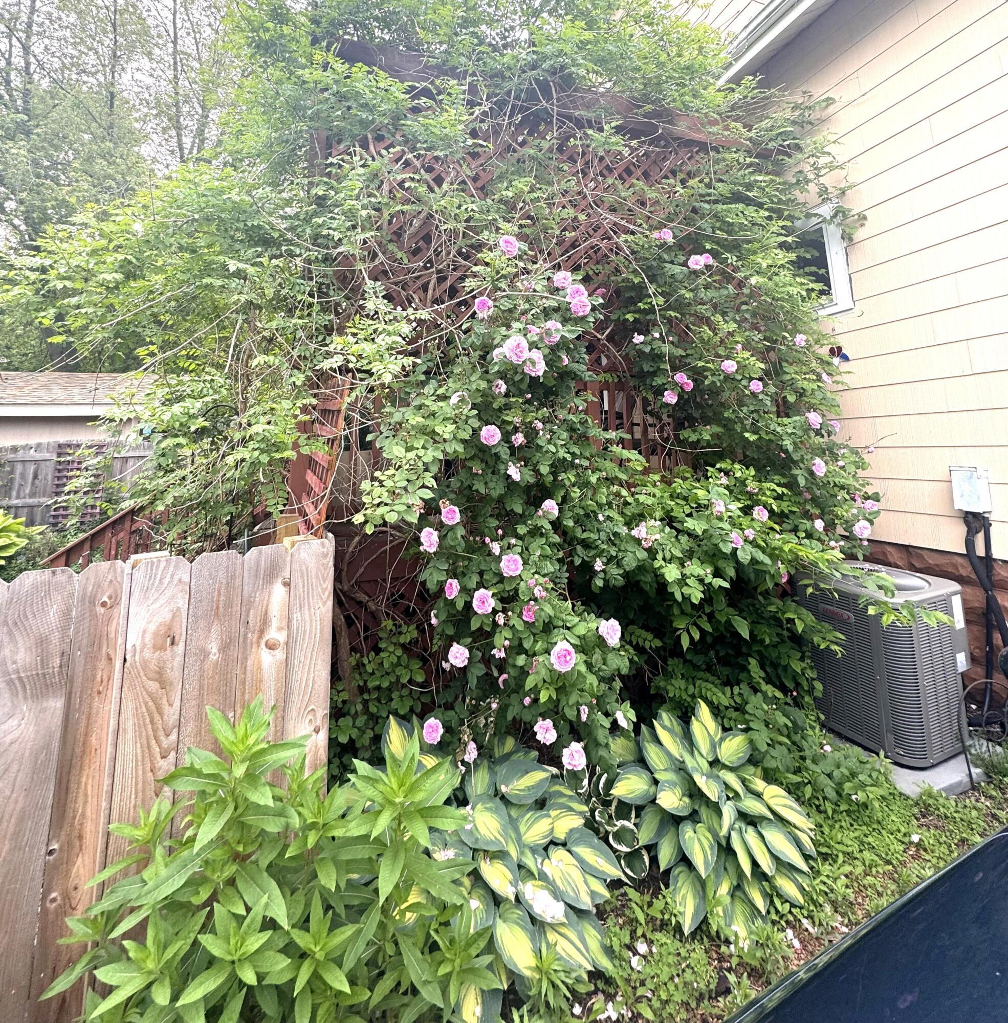 1008 71st Street Kenosha, WI 53143 - Photo 23 of 24 Beautiful Flowers