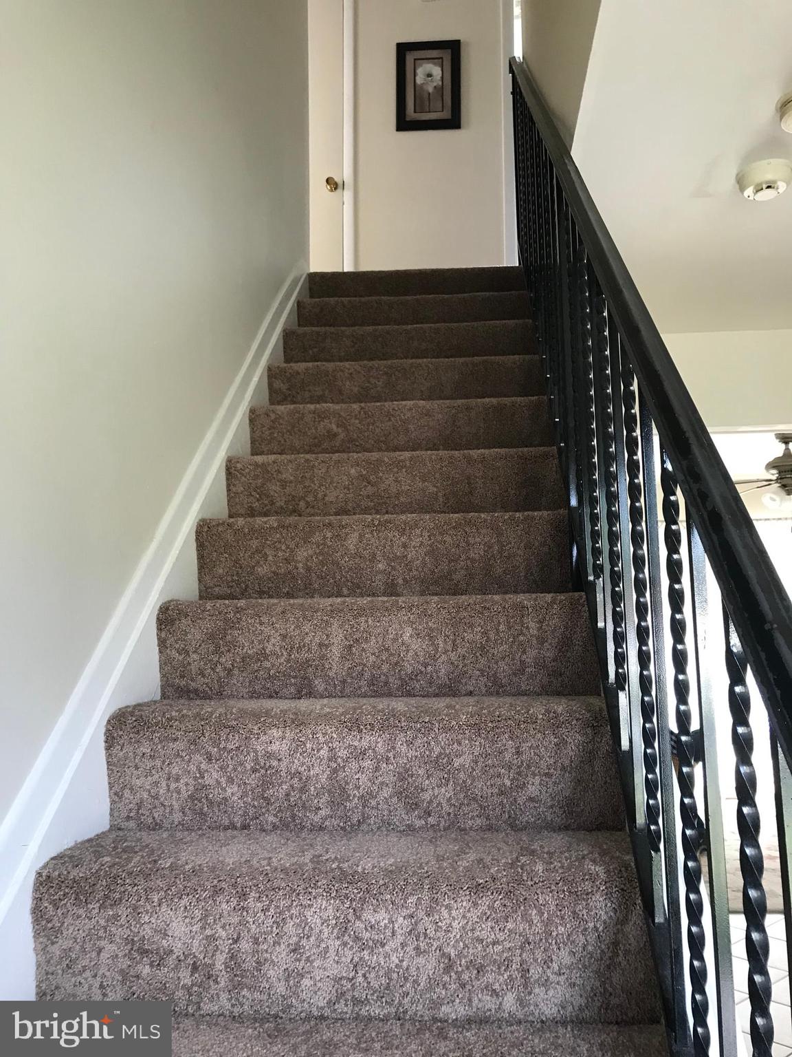 213 Compton Road Waldorf, MD 20602 - Photo 21 of 31 Nice new carpet!