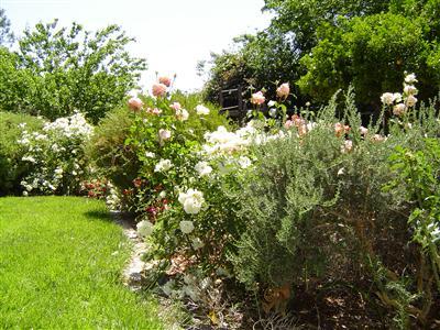 573 Gridley Road Ojai, CA 93023 - Photo 10 of 10 a view of a tree with a tree