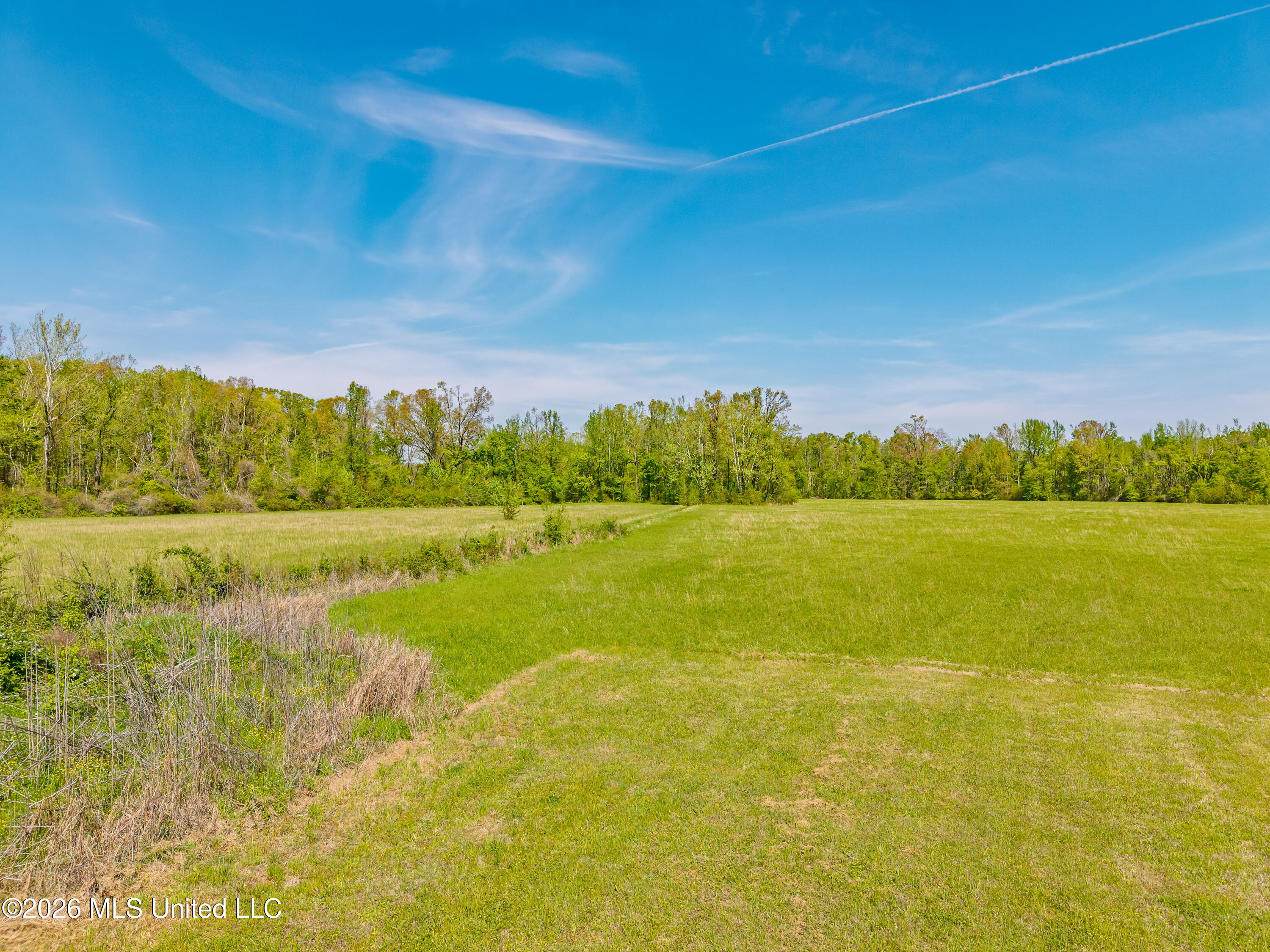 2857 Anthony Road Pope, MS 38658 - Photo 60 of 74 2857 Anthony Rd Pope MS_2026-04-08_60