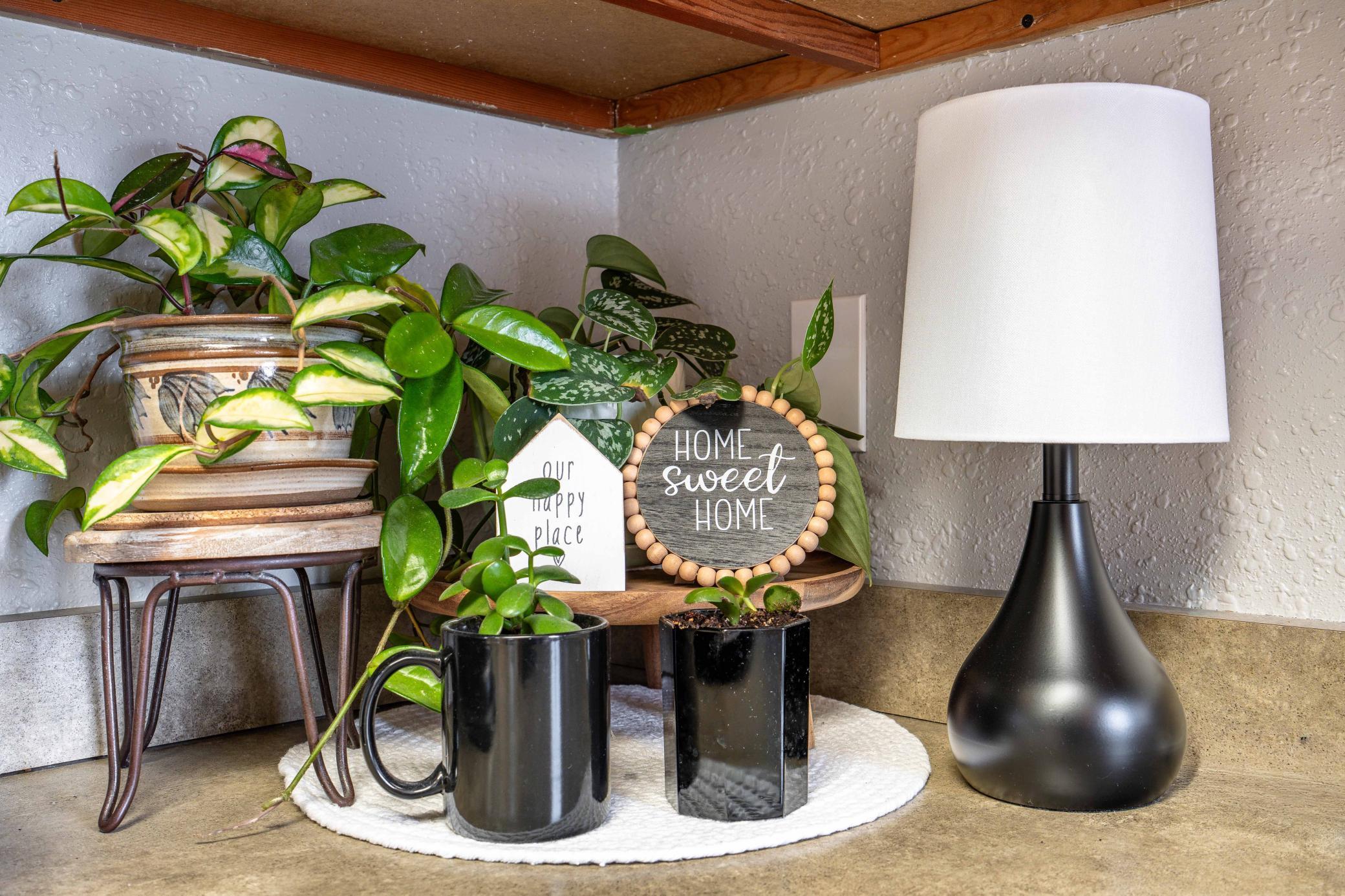 412 West Summit Avenue Fergus Falls, MN 56537 - Photo 30 of 80