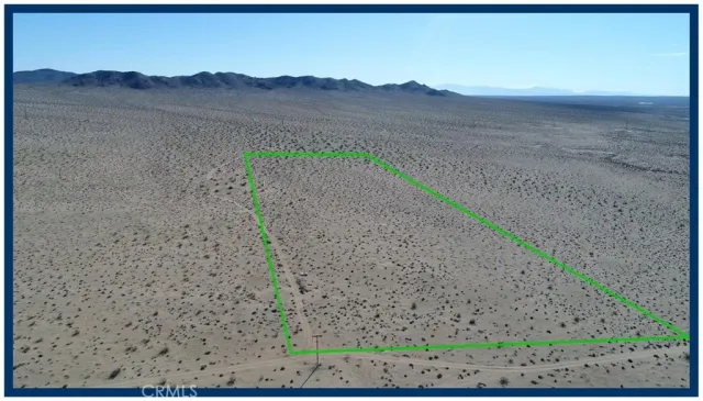a view of a dry yard with trees