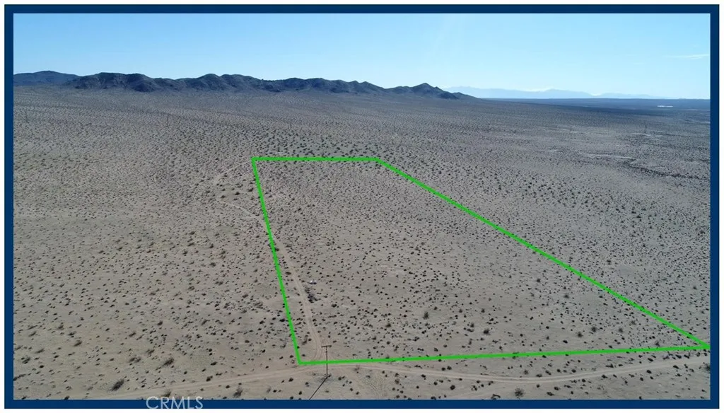 a view of a dry yard with trees