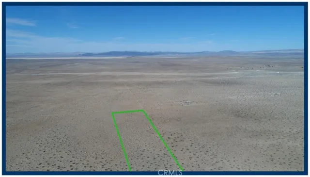 a view of a dry yard