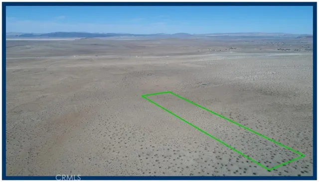 a view of a dry yard