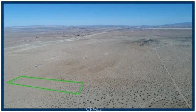 a view of a dry yard