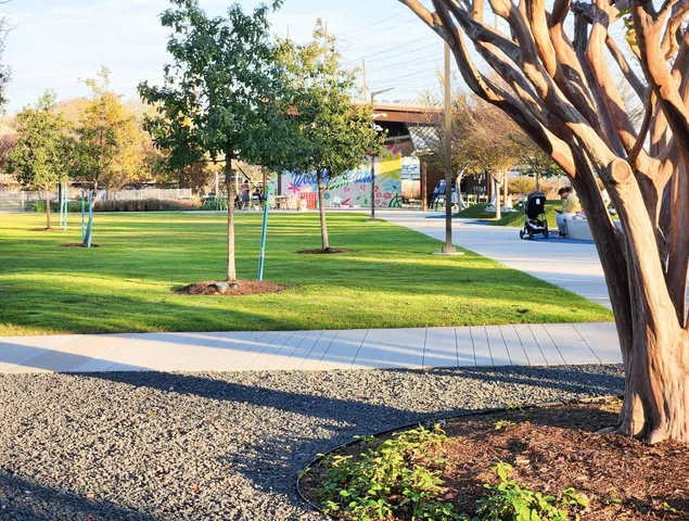 a view of a park with entertaining space