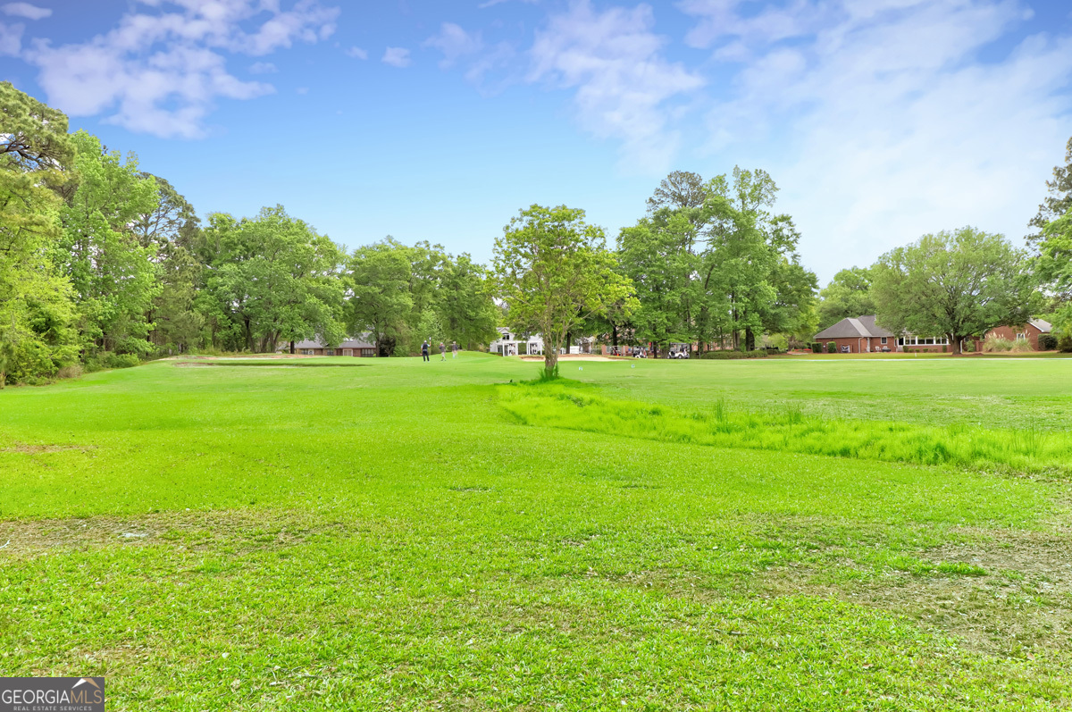 109 St Andrews Road Rincon, GA 31326 - Photo 51 of 52 a view of a grassy field with trees in the background