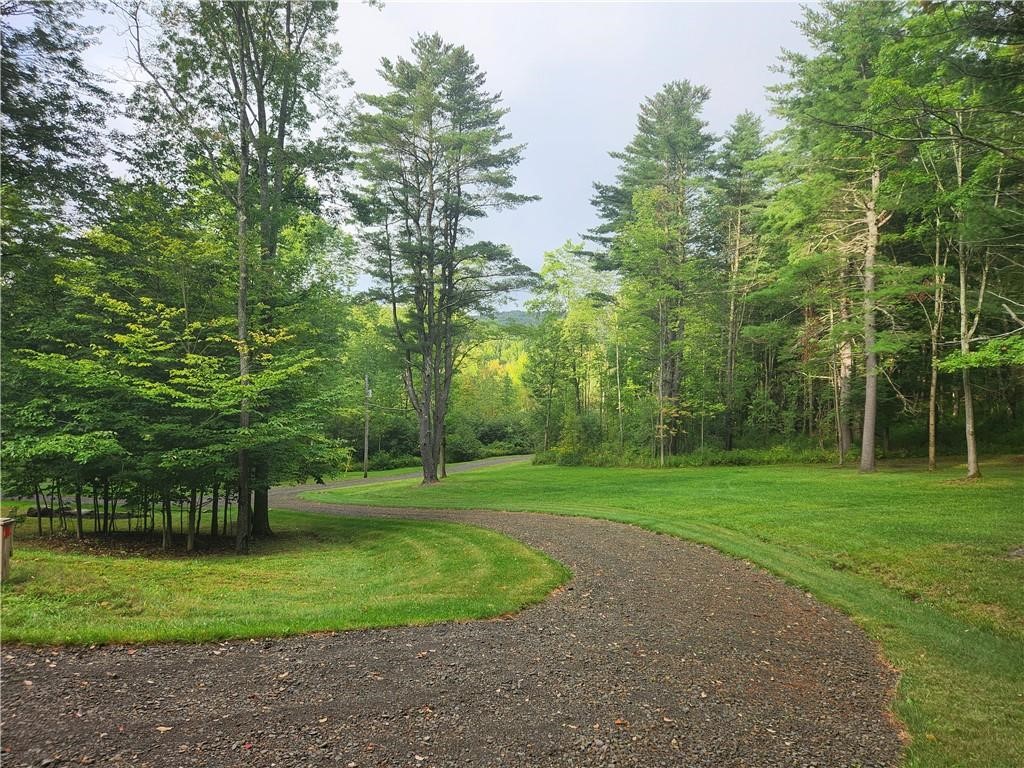 316 Seminary Road Hartwick, NY 13807 - Photo 18 of 23