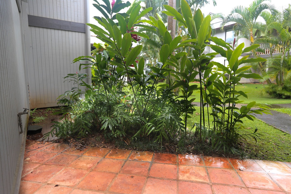 4121 Rice Street, Unit 2707 Lihue, HI 96766 - Photo 19 of 21 Gallery Image 19