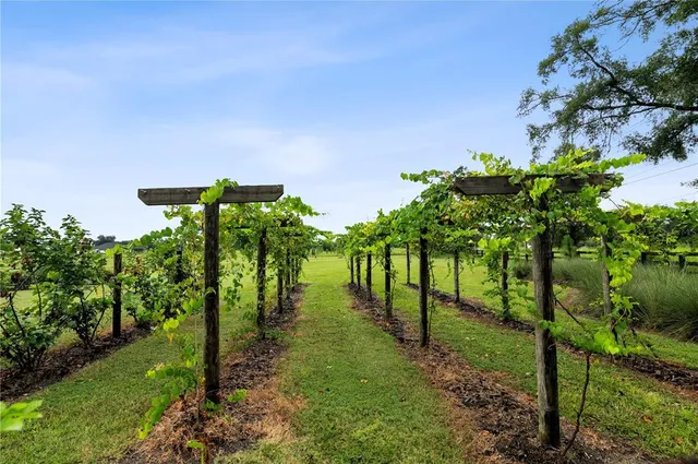 $1,749,100 | 12522 Southwest 58th Place, Archer, FL 32618