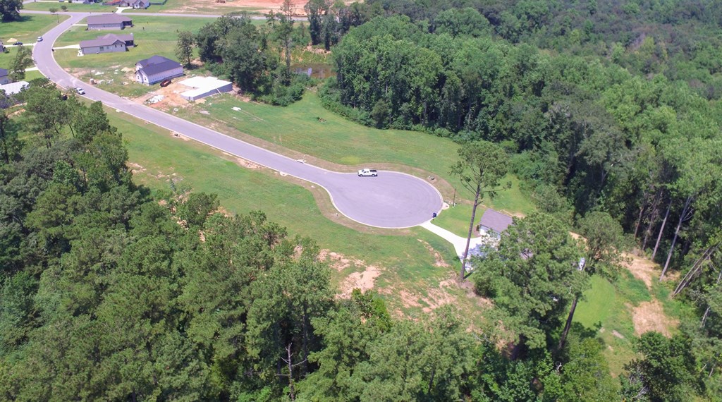 102 Laney Lane Dothan, AL 36305 - Photo 9 of 29