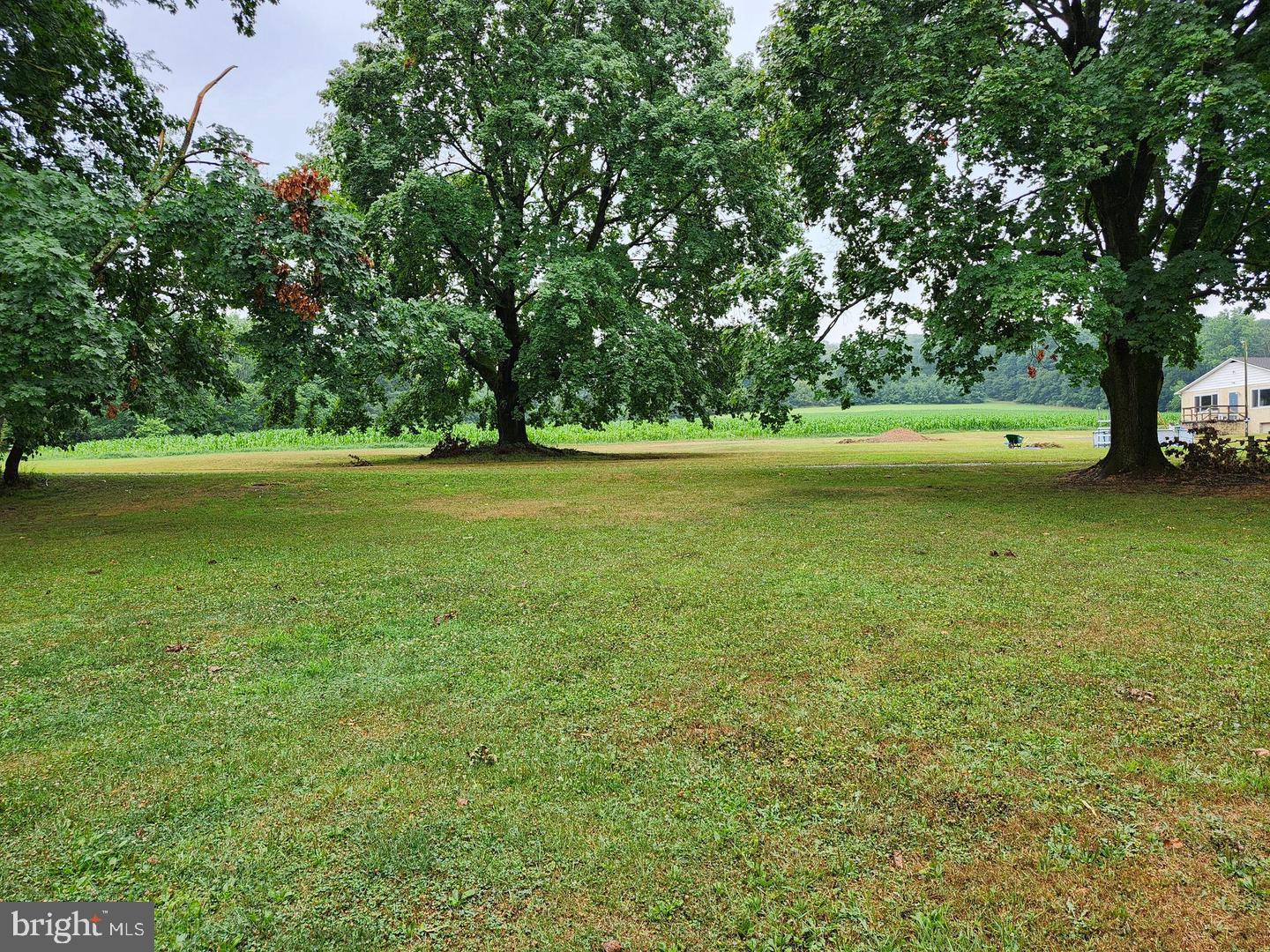 143 Swopes Valley Road Pine Grove, PA 17963 - Photo 36 of 39 Yard